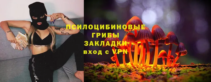 Галлюциногенные грибы Psilocybe  что такое   Киренск 